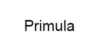 Ремонт кофемашины модели Primula в Лосино-Петровском Ремонт кофемашин Primula